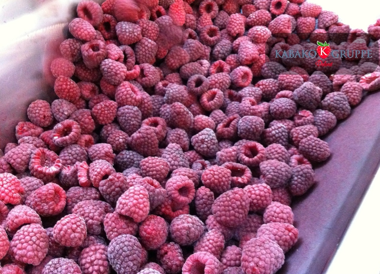 Frozen (IQF) Raspberries 1